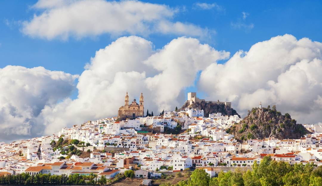 olvera