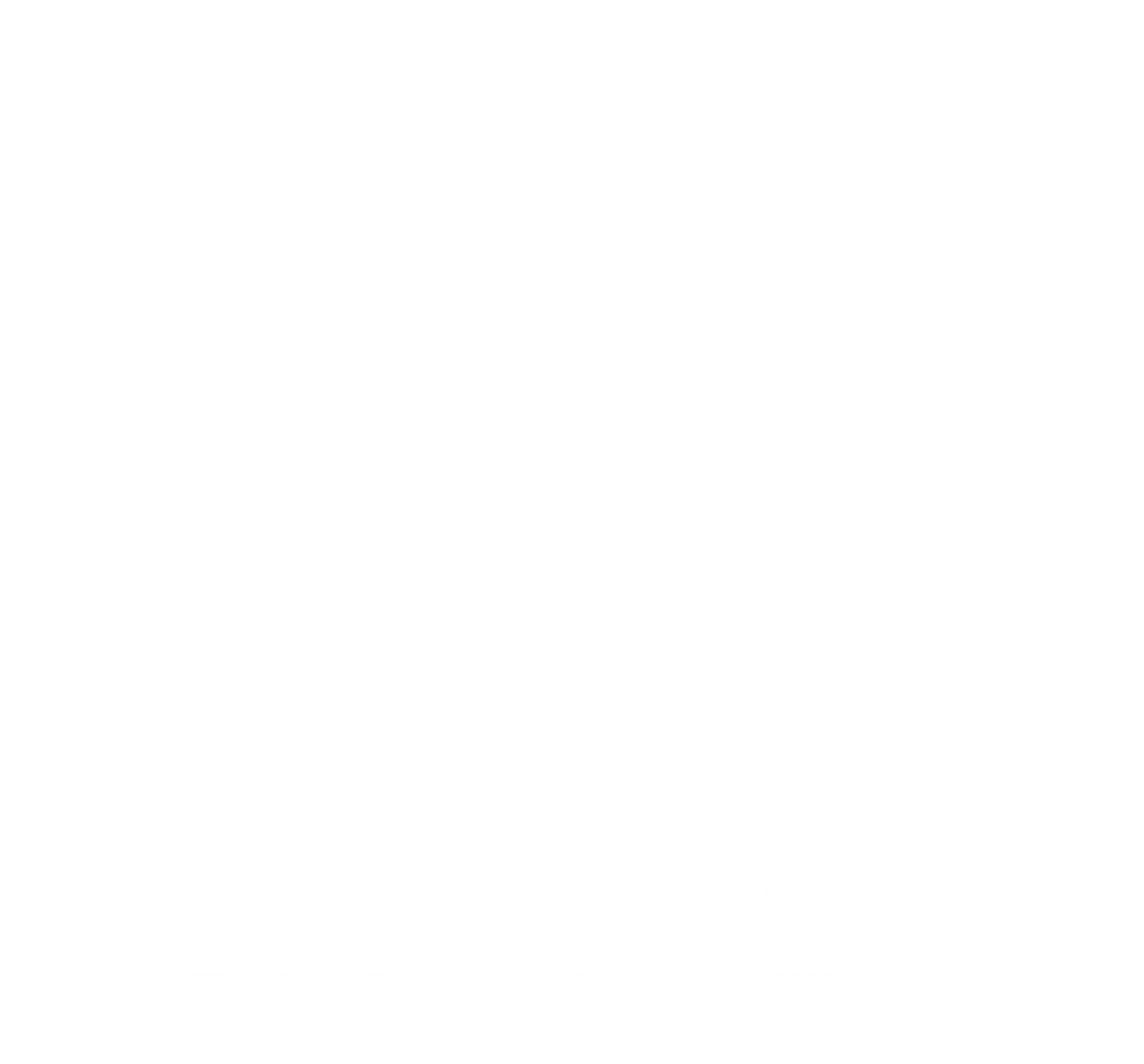 citroen brand block white rvb 8a04aed5e3156a81205e307556b166941b445a788d3417142c94a64f5ae5f181